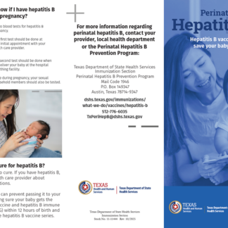 Hepatitis B Vaccine Can Save your Baby's Life Brochure