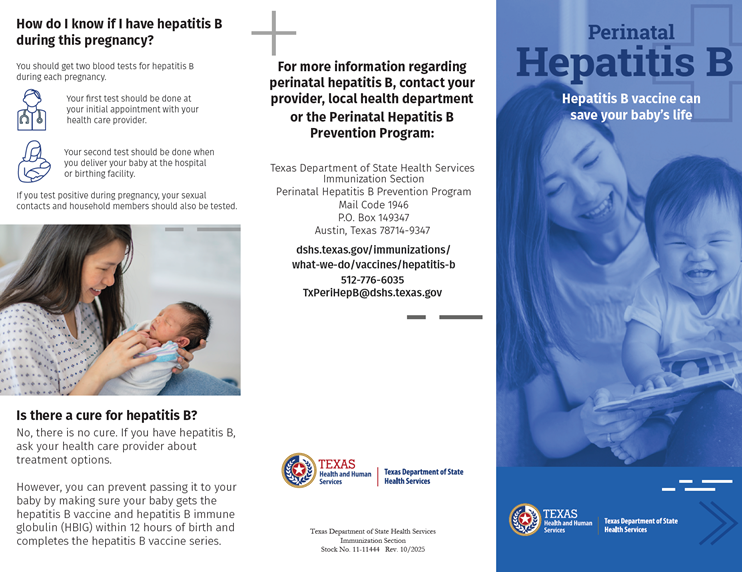Hepatitis B Vaccine Can Save your Baby's Life Brochure