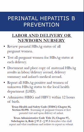 Perinatal Hepatitis B “Hospital (Labor and Delivery/Newborn Nursery)” Badge Buddy.