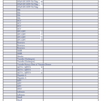Personal Immunization Record Card (Bilingual). Rev: 11/2023