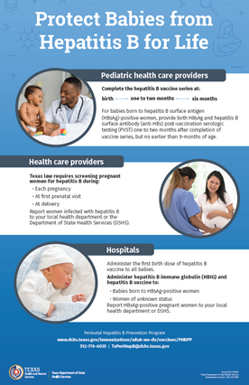 Protect Babies from Hepatitis B for Life Poster