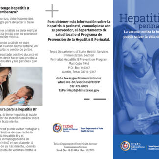 Hepatitis B Vaccine can save your baby's Life Brochure - Rev. 10/25 - Spanish