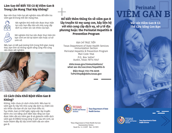 Hepatitis B Vaccine Can Save your Baby's Life Brochure - Vietnamese